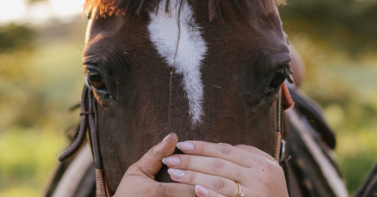 Exploring Alternative Metals for Unique Wedding Rings